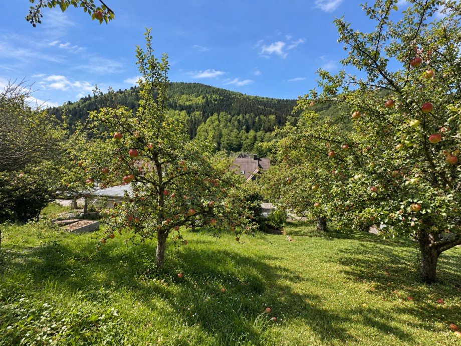 KI bearbeitet Maisonettewohnung H�fen an der Enz