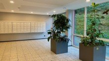 Lobby 4 Zimmerwohnung im Kurort von Bad Herrenalb