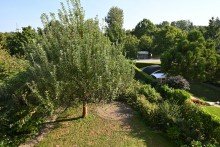 Blick in den Garten Gro�z�gige Doppelhaush�lfte in gefragter Lage