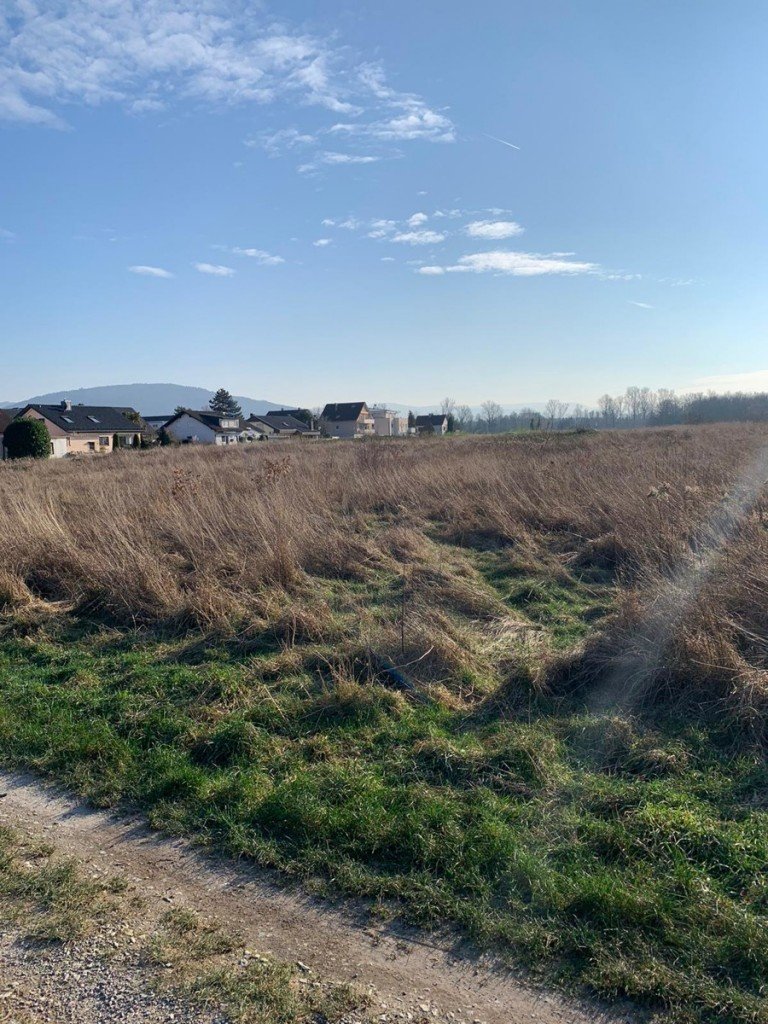 Blick ins Dorf Muggensturm Wohngrundst�ck Baugrundst�ck in Muggensturm