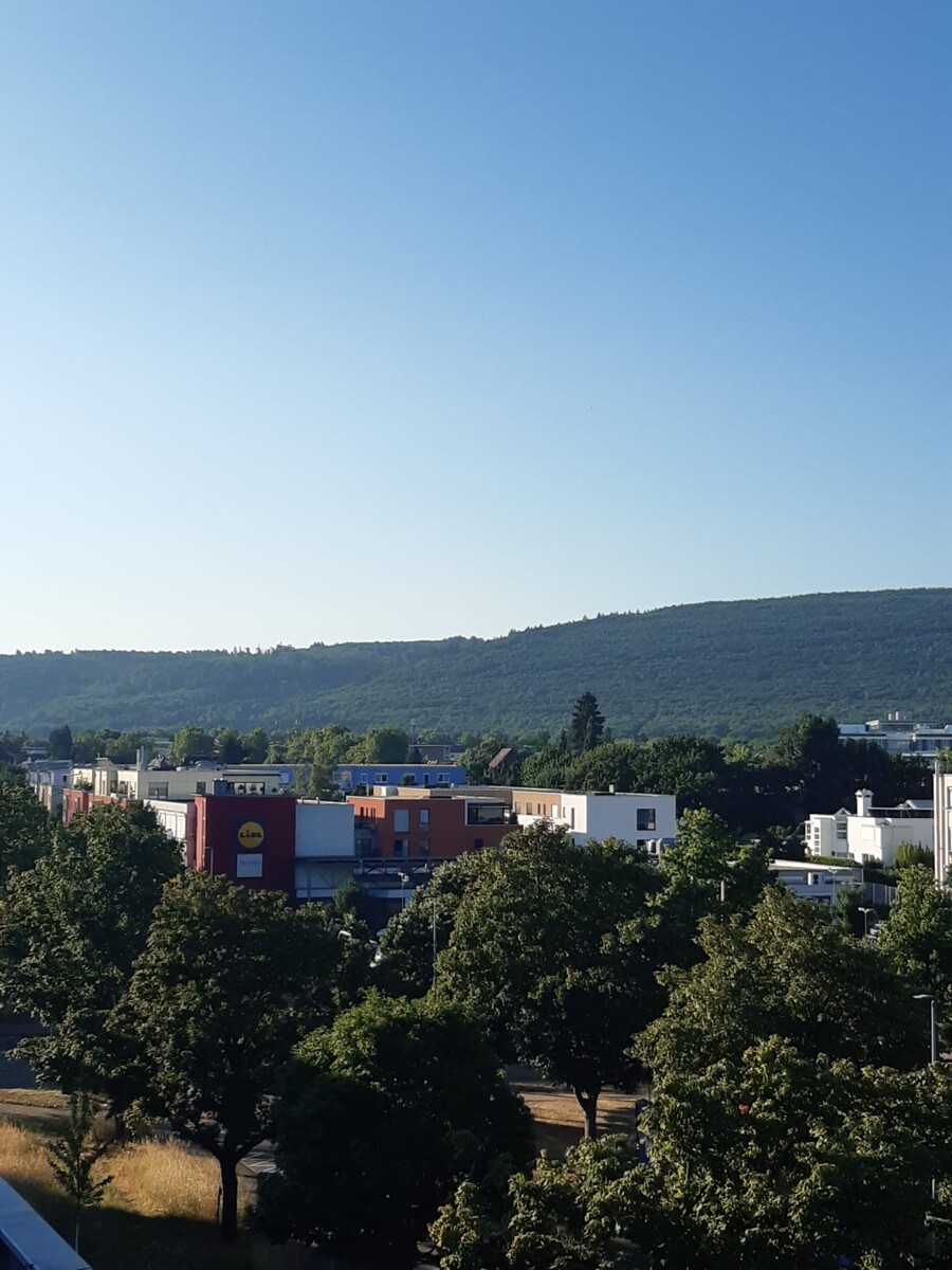 Weiter Blick in den Schwarzwald Penthousewohnung Ettlingen