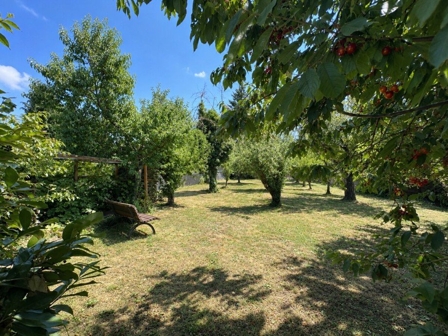 Garten Mehrfamilienhaus M�hlacker