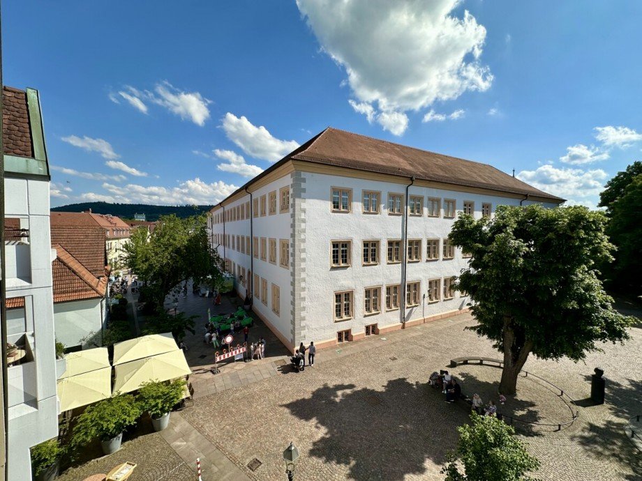 Aussicht auf das Schloss Maisonettewohnung Ettlingen