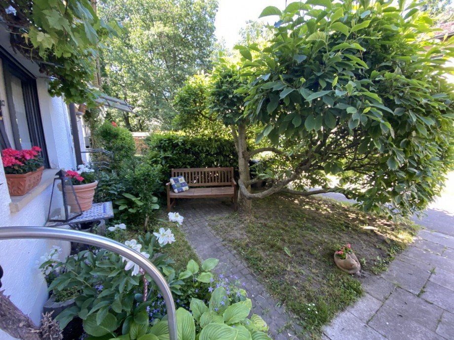 Vorgarten Reihenhaus Karlsruhe