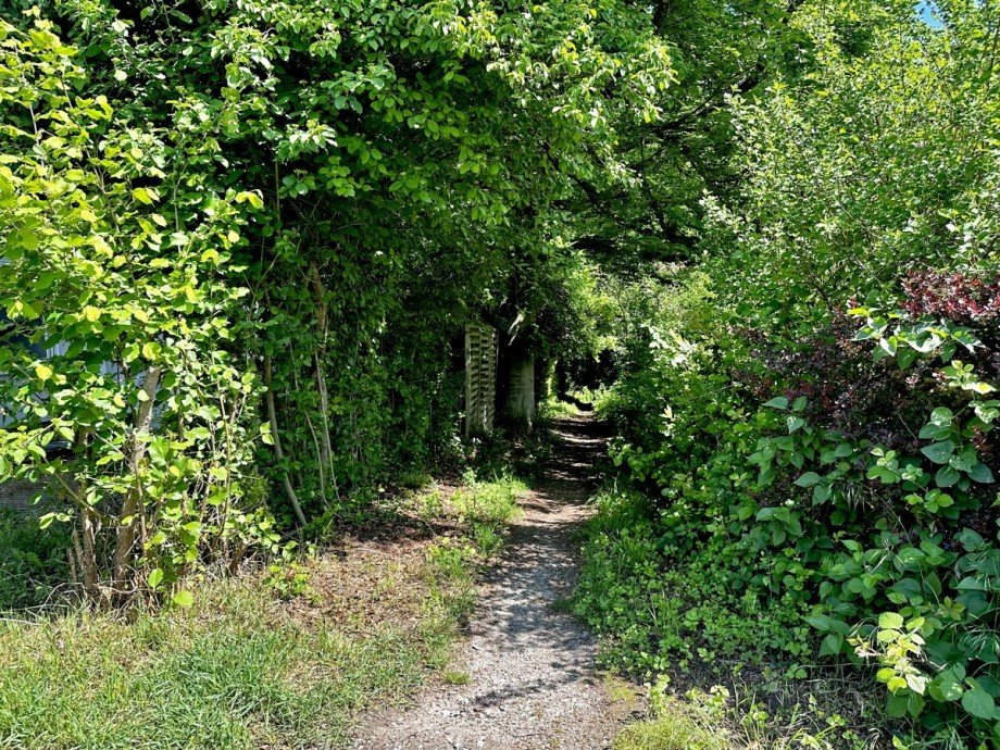 Angrenzender Weg in den Wald Einfamilienhaus Karlsruhe / Bergwald