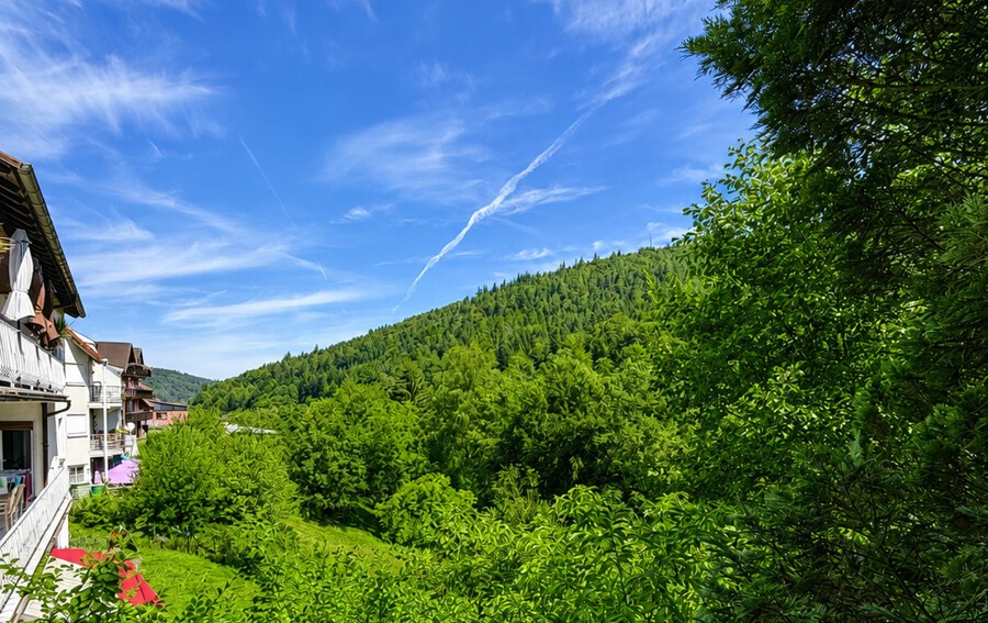 Aussicht auf die Natur (KI-Visualisierung) Erdgeschosswohnung Bad Herrenalb