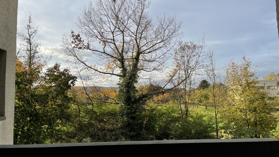 Traumhafter Blick ins Gr�n Etagenwohnung Ettlingen-West