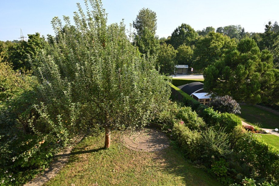 Blick in den Garten Doppelhaush�lfte Karlsruhe / Palmbach