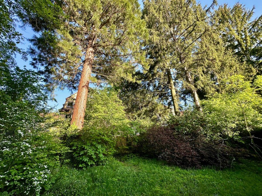 Blick in den Garten Erdgeschosswohnung Karlsruhe / Weiherfeld-Dammerstock