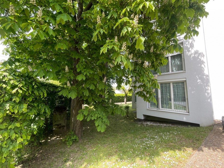 Seitenansicht Erdgeschosswohnung Ettlingen