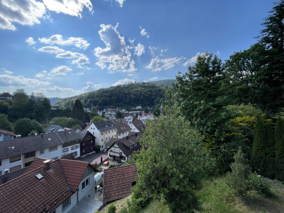 Blick ins Gr�ne Einfamilienhaus Bad Herrenalb