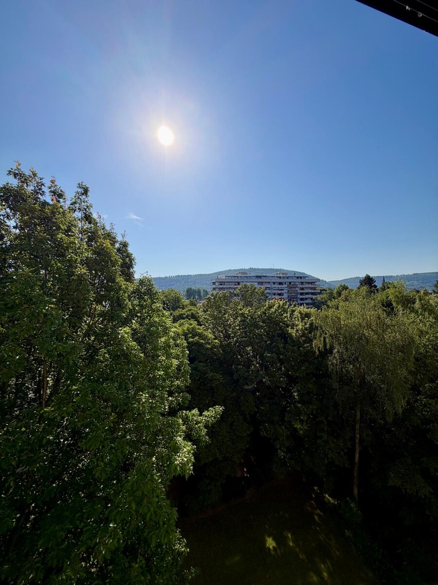 Blick aus der K�che Etagenwohnung Ettlingen