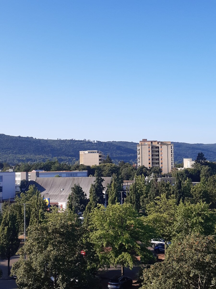 Weiter Blick in den Schwarzwald Penthousewohnung Ettlingen