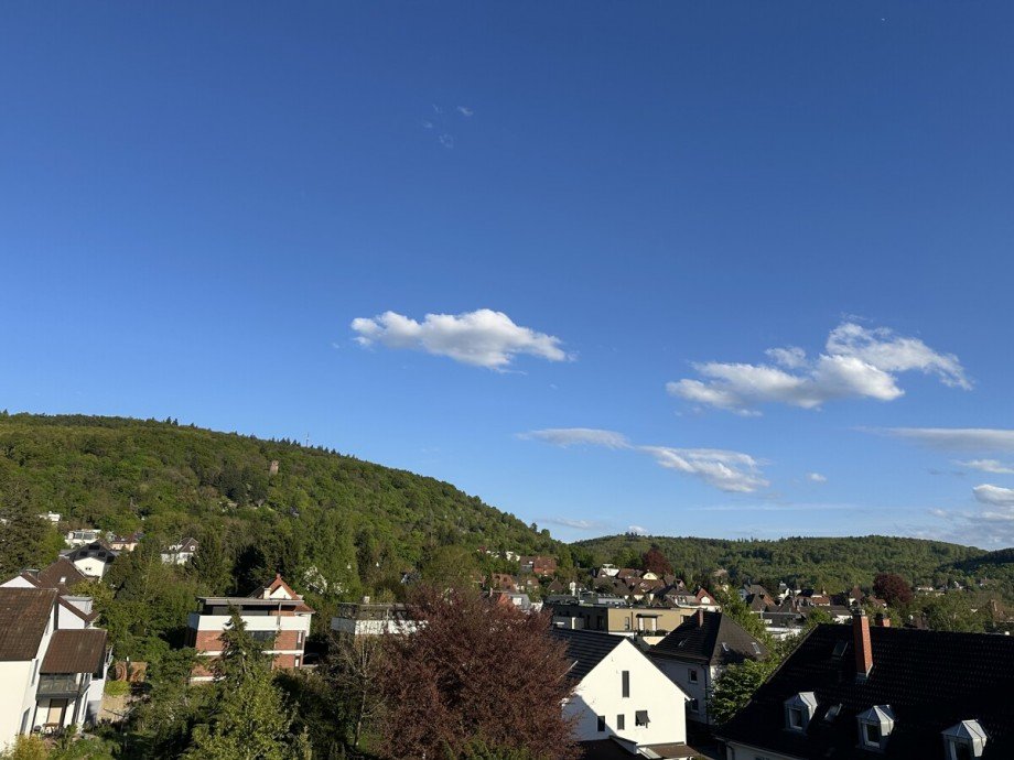 Ausblick von der Dachterrasse Dachgeschosswohnung Ettlingen