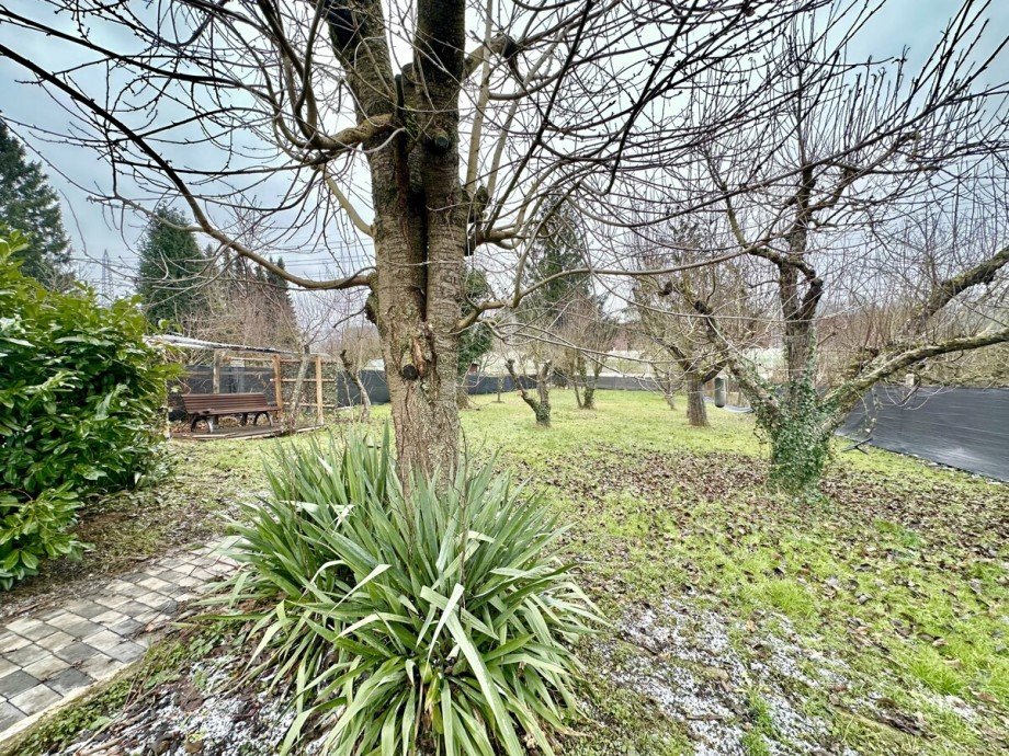 zu jeder Jahreszeit ein Traum Mehrfamilienhaus M�hlacker