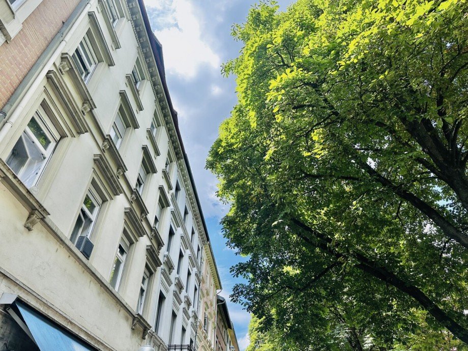 Blick auf Baumallee Mehrfamilienhaus Karlsruhe