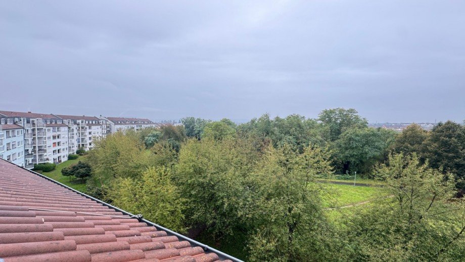 Ausblick Dachgeschosswohnung Karlsruhe
