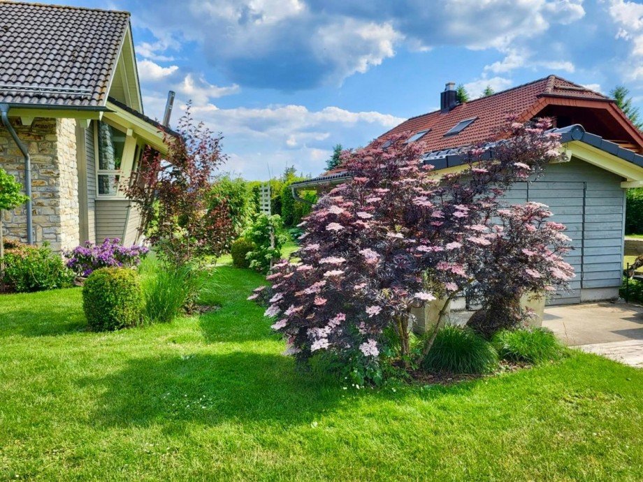  Einfamilienhaus Dobel